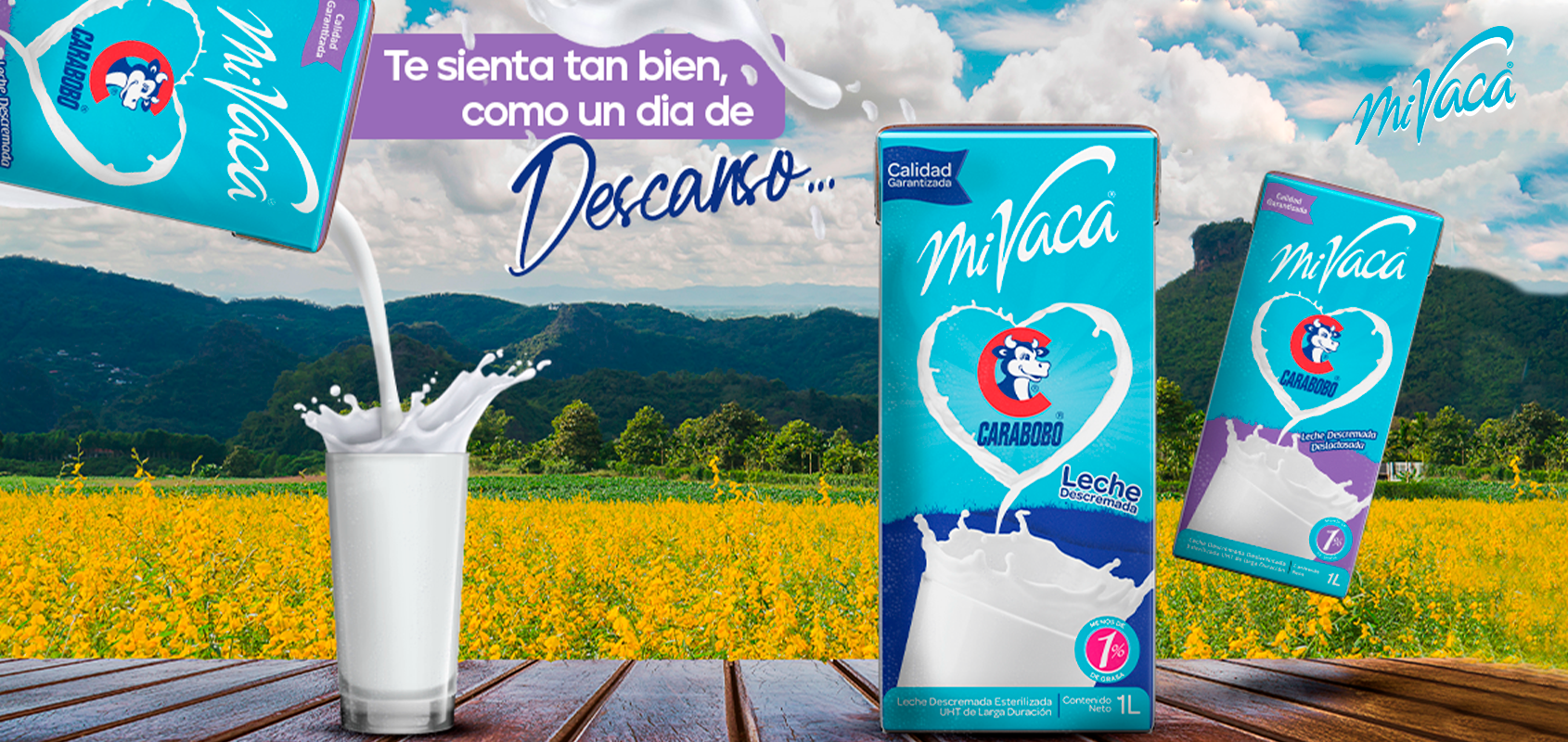 Imagen 3